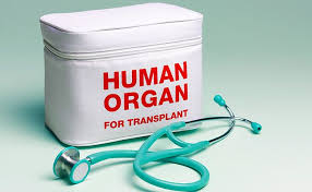 Trasplantes de órganos: una revisión